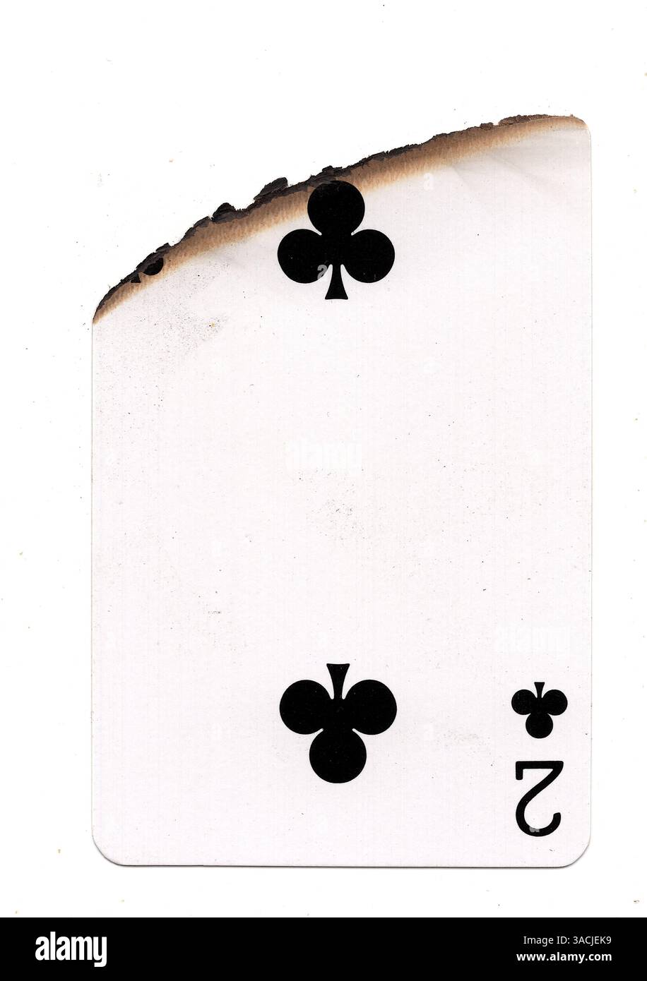 Eine teilweise verbrannte Spielkarte im Anzug von Clubs auf weißem Hintergrund. Stockfoto