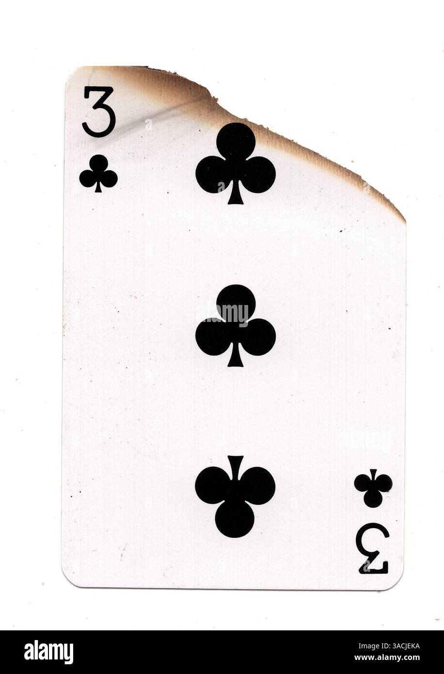 Eine teilweise verbrannte Spielkarte im Anzug von Clubs auf weißem Hintergrund. Stockfoto