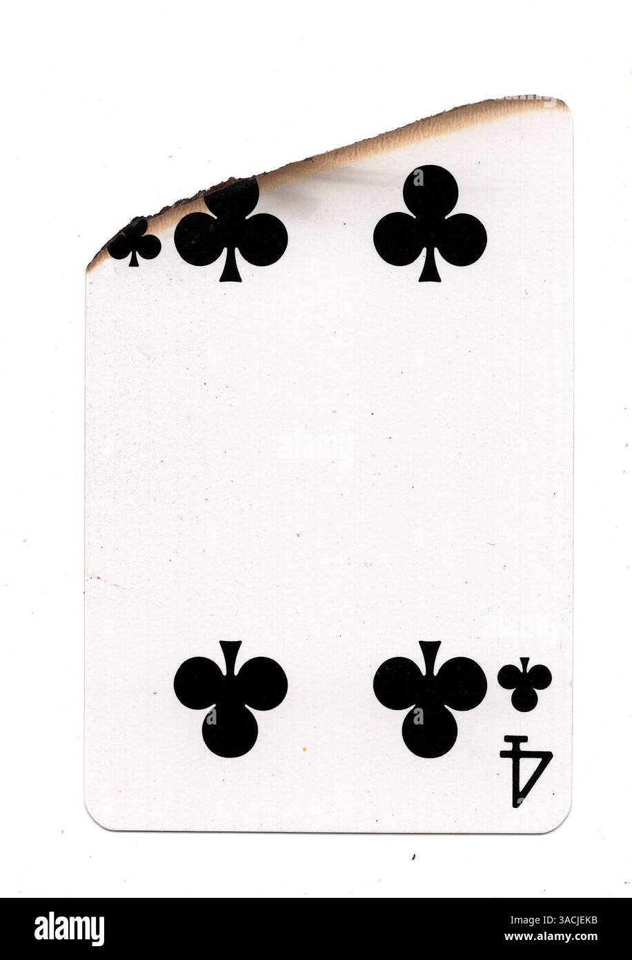 Eine teilweise verbrannte Spielkarte im Anzug von Clubs auf weißem Hintergrund. Stockfoto