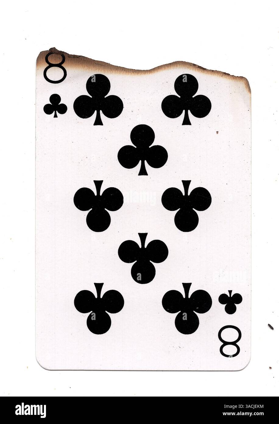 Eine teilweise verbrannte Spielkarte im Anzug von Clubs auf weißem Hintergrund. Stockfoto