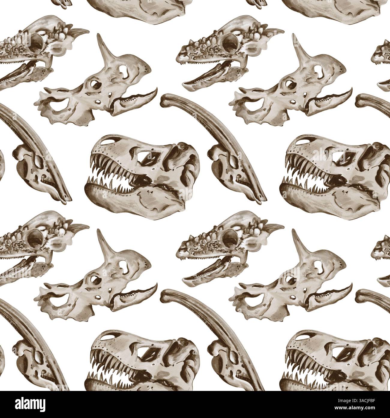 Nahtloses Muster mit Dinosaurierschädeln. Theranosaurus und Trekatoratops und andere Dinosaurier. Skelette. Aquarellabbildung ohne Hintergrund Stockfoto