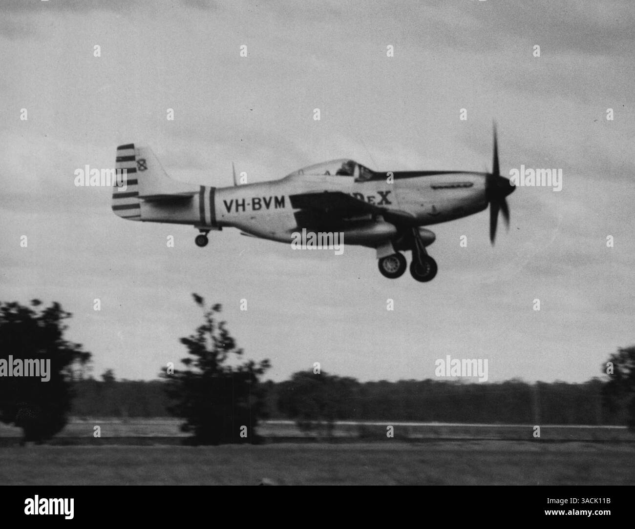 Flug-Lieut. Whiteman's Mustang, nachdem er Sydney heute wegen des Tasman-Rekordflugversuchs verlassen hat. Whitemans Notfallausrüstung umfasst eine aufblasbare Mae West Rettungsweste, ein aufblasbares Schlauchboot und Notfallrationen, haiabweisende Chemikalien, harte Rationen und einen Wasserkondensator. Die Mustang fliegen über Richmond. Juli 1953. (Foto von Associated Newspapers Ltd.) Stockfoto