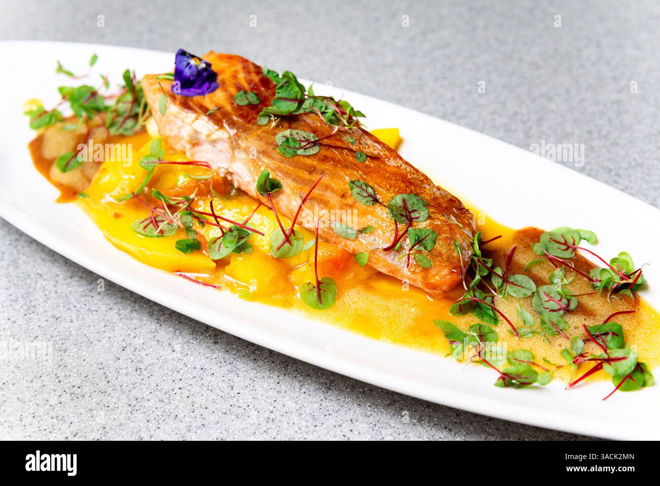 Überzogenes Gourmet-Lachsfilet, serviert auf lebendiger Mangohauce, garniert mit frischem Mikrogrün und einer essbaren Blume. Stockfoto