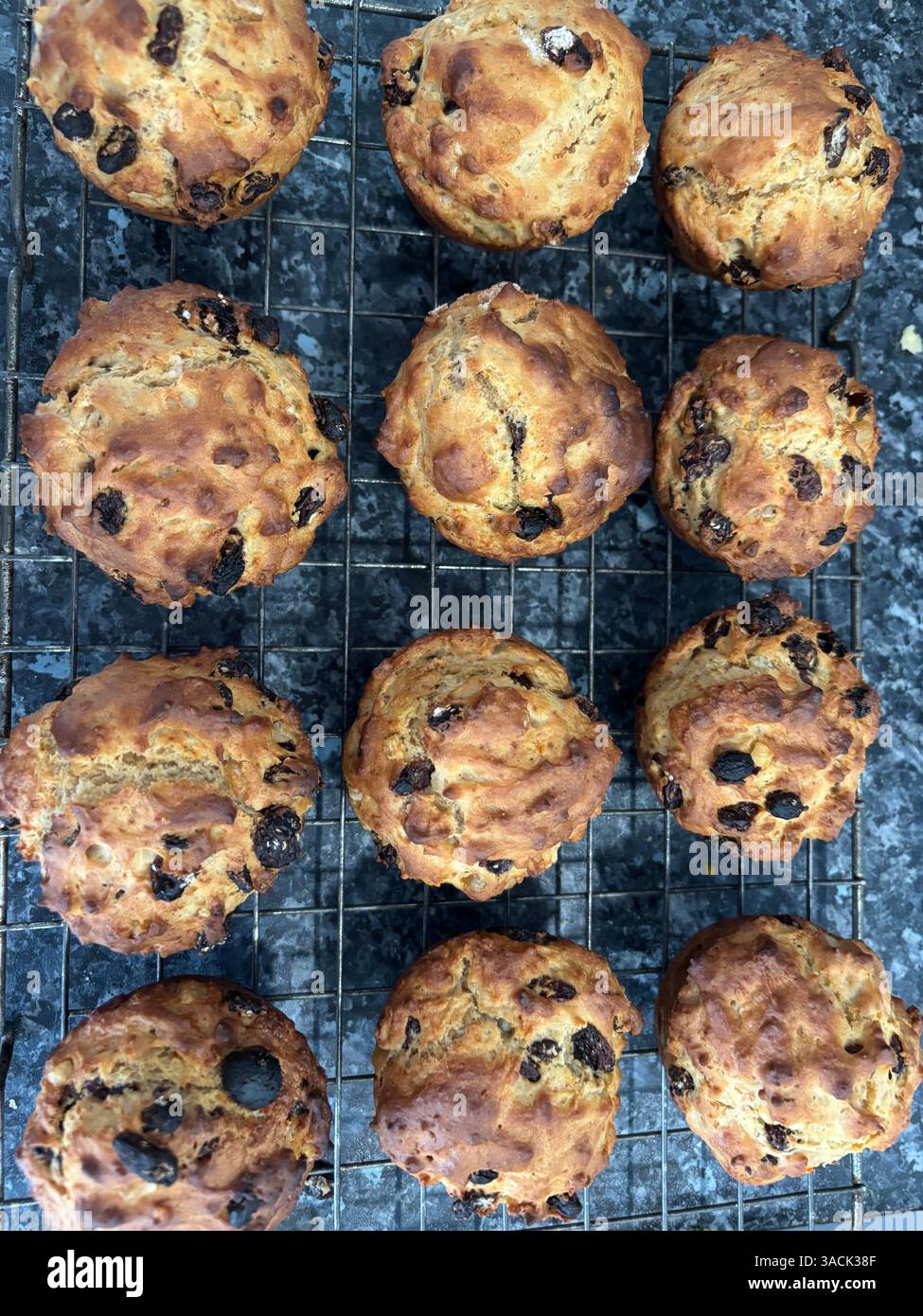 Muffins aus gemischten Früchten, die auf einem Drahtgestell gekühlt werden - Smartphone-aufgenommenes Stockfoto