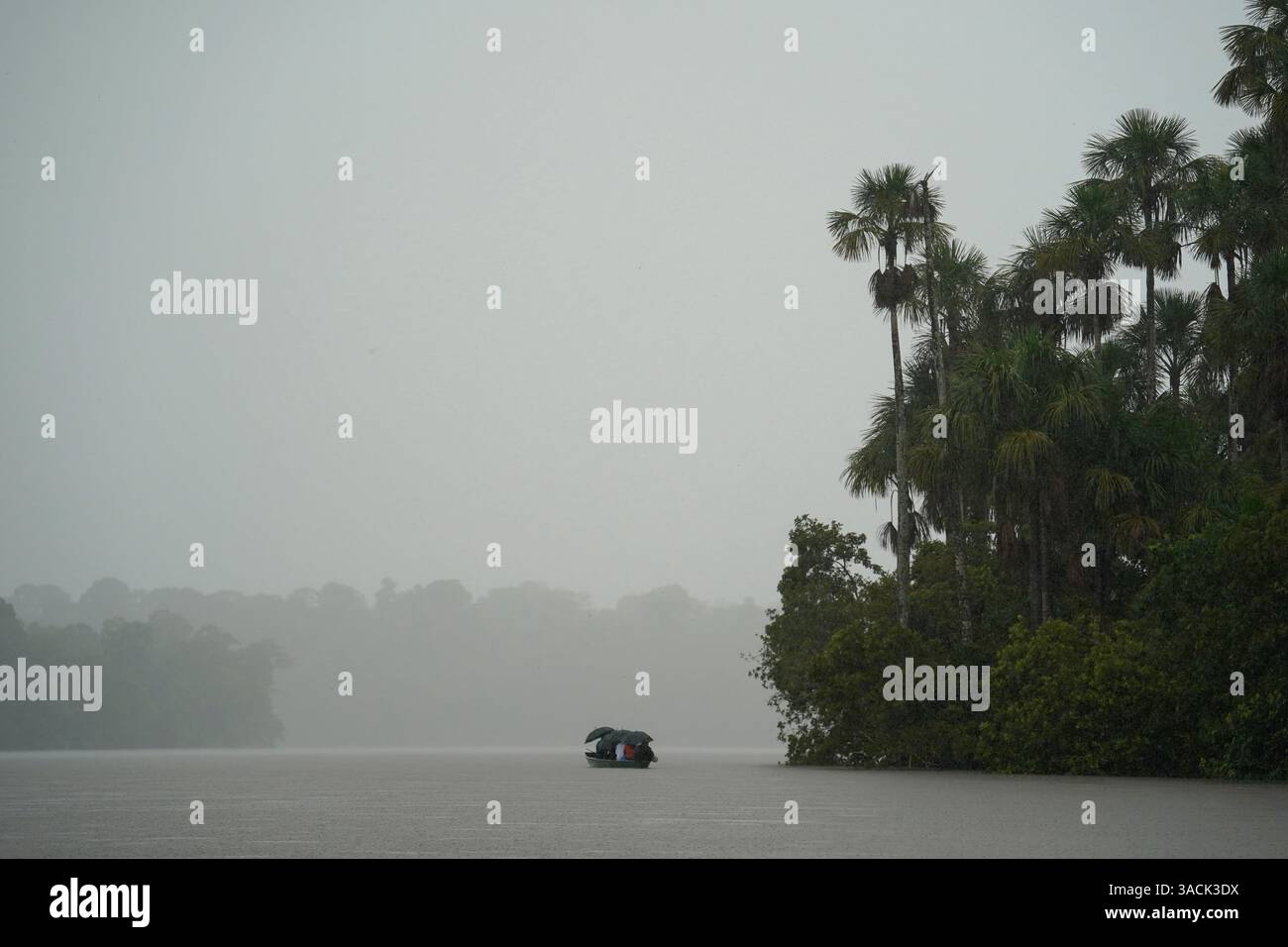 Kleines Touristenboot auf dem See Sandoval im peruanischen Amazonas bei Regen Stockfoto