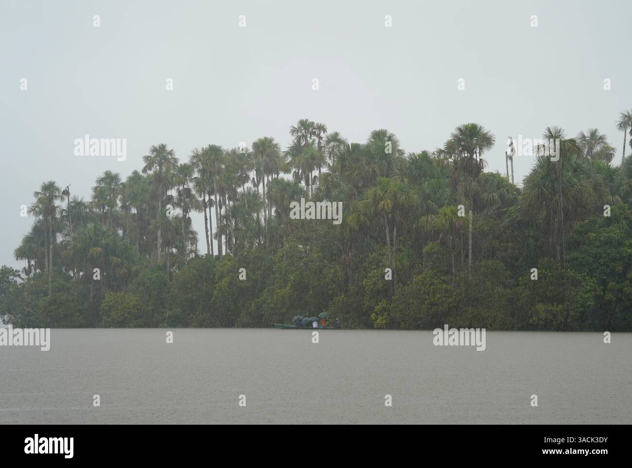 Bootsfahrt auf dem Fluss bei starkem Regen, Amazonas Regenwald, Peru Stockfoto