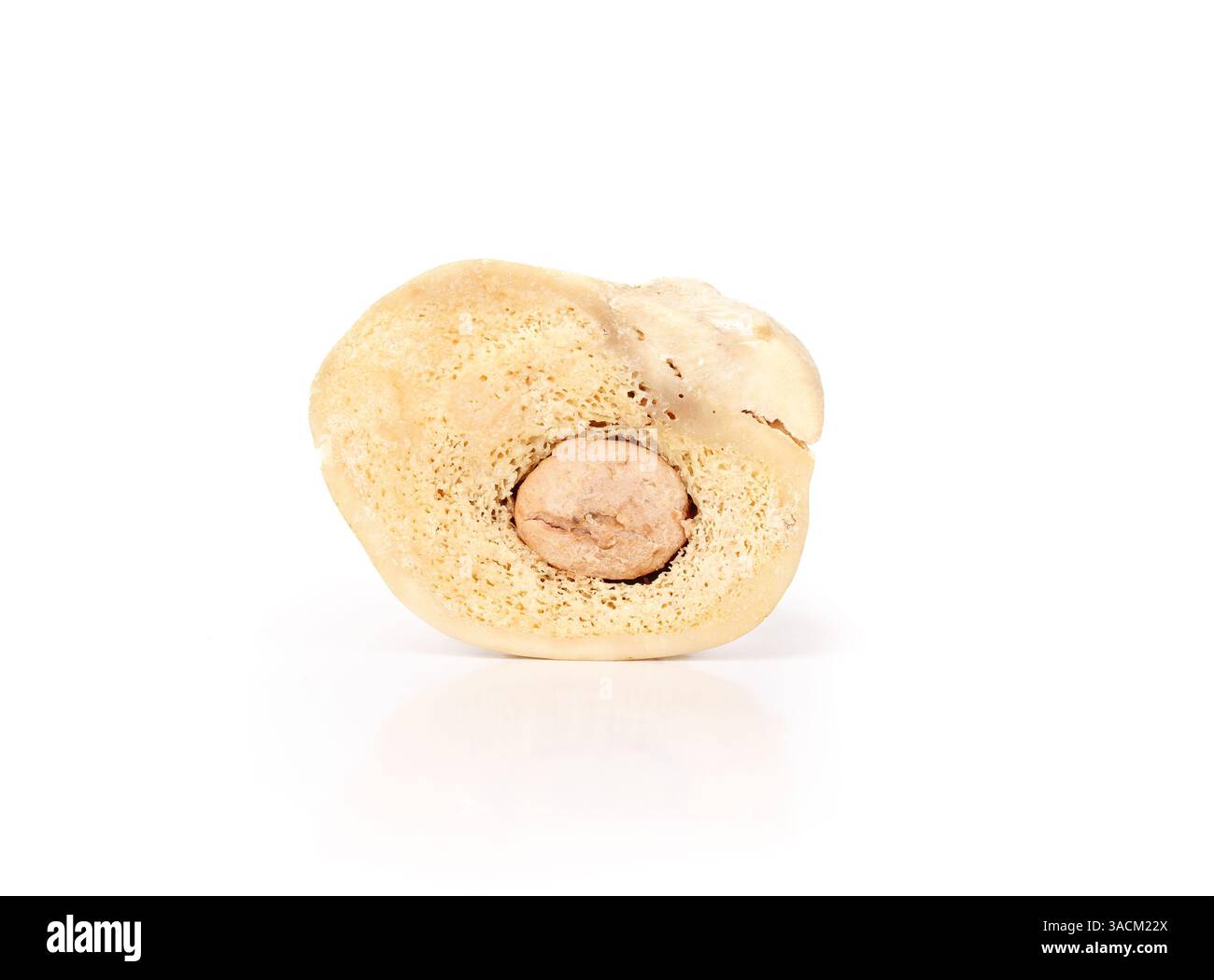 Isolierter gefüllter Rinderknochen für Hundespass und Glück. Langanhaltender mittelechter Rinderknochen. Für die Zahngesundheit, mentale Bereicherung für Hunde und pu Stockfoto