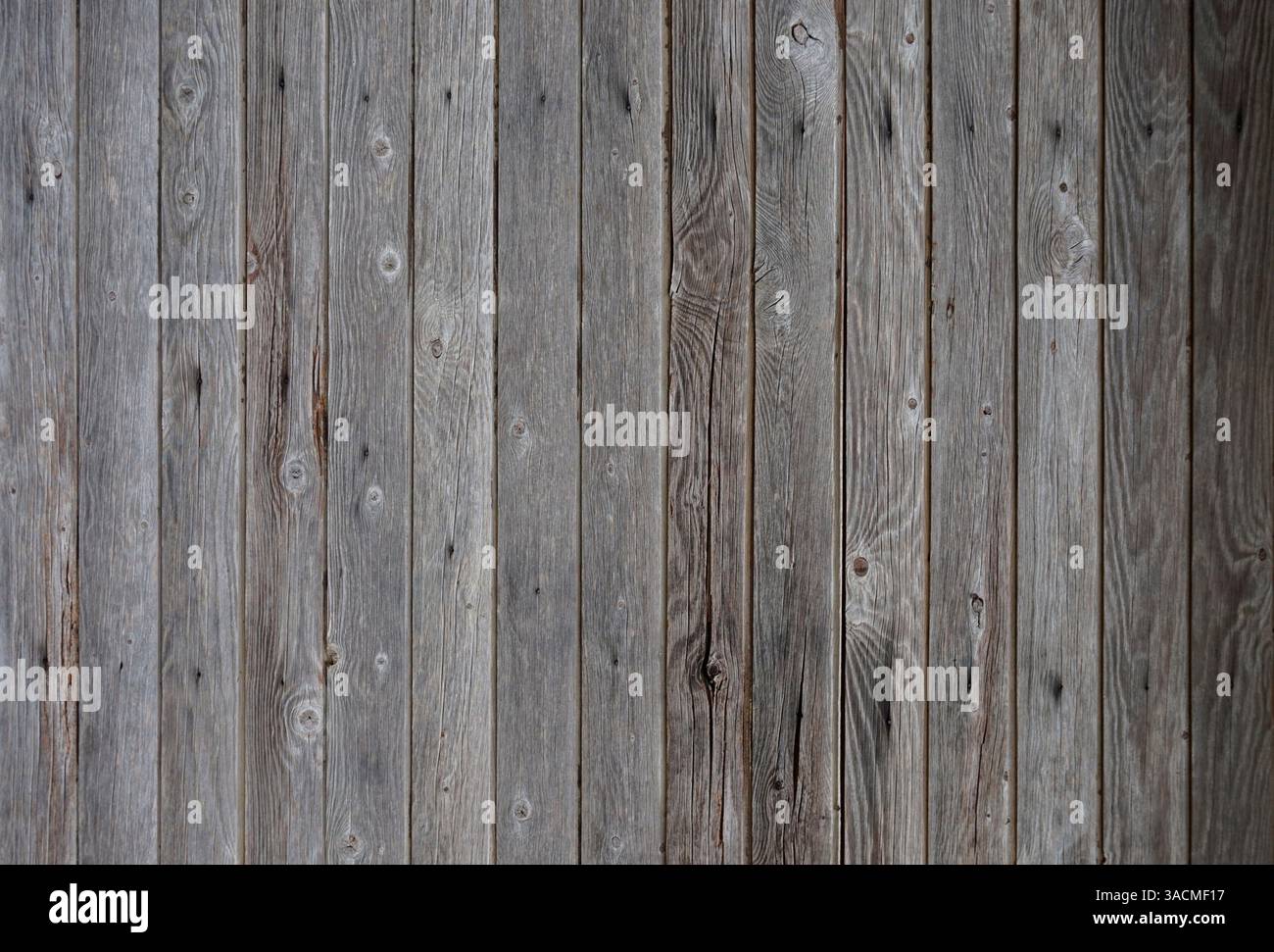 Grauer alter hölzerner Hintergrund mit vertikalen Brettern Stockfoto