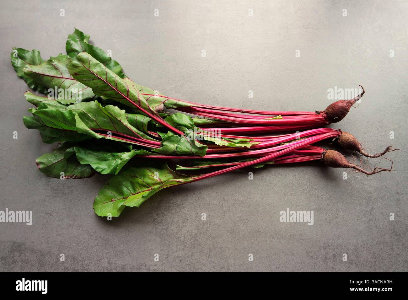 Frische Rüben mit Blättern. Blattgemüse für traditionelle polnische Botwinka-Suppe Stockfoto