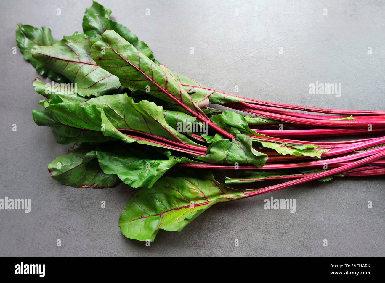 Frische Rüben mit Blättern. Blattgemüse für traditionelle polnische Botwinka-Suppe Stockfoto