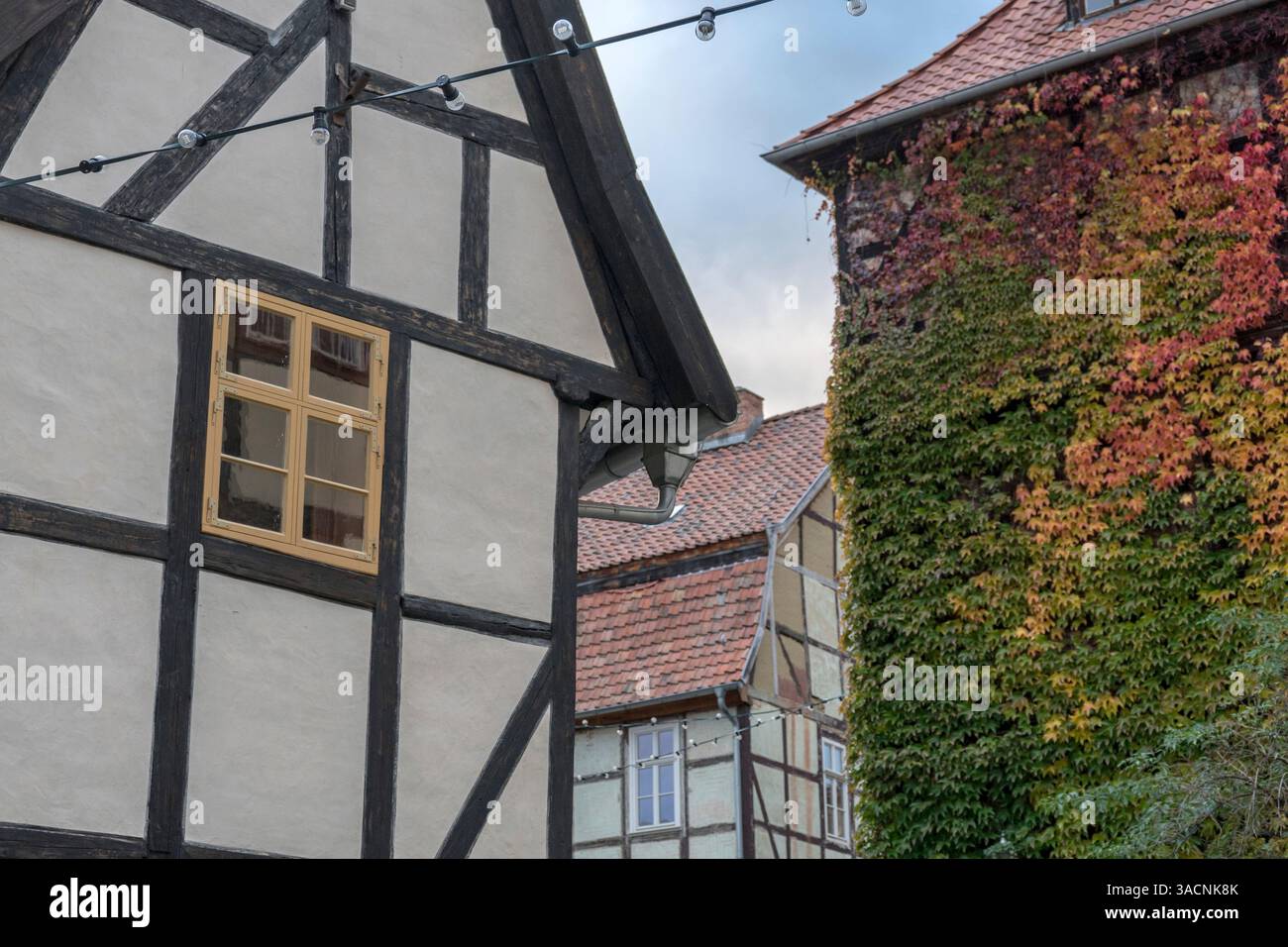 Historisches Fachwerkhaus und Giebeldach mit Herbstlaub in Quedlinburg, Sachsen-Anhalt, Deutschland, Stockfoto