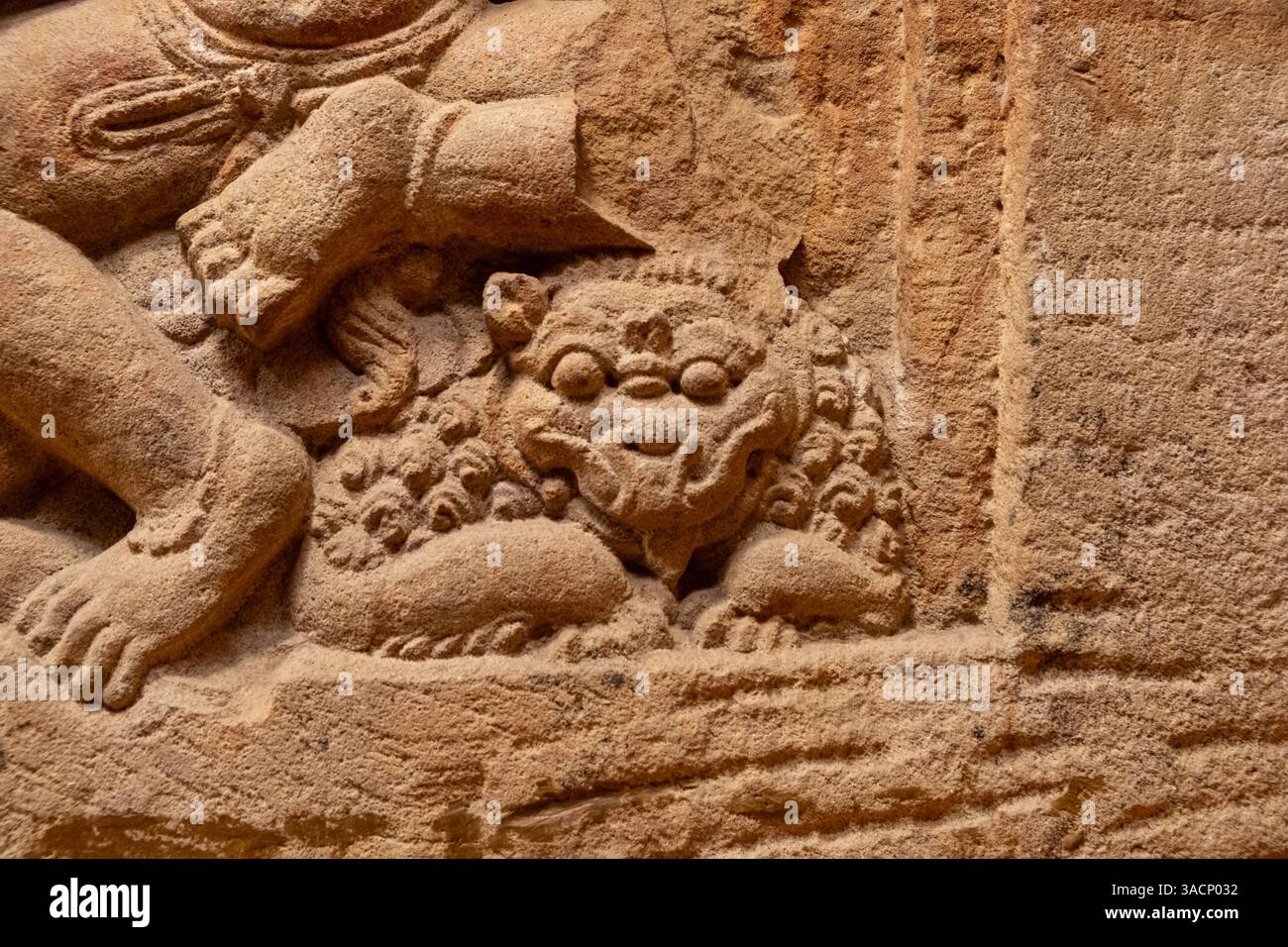 Singhavahini Durga. Nahaufnahme des Löwen. Bhubaneshwar. 7. Jahrhundert n. Chr. Stockfoto
