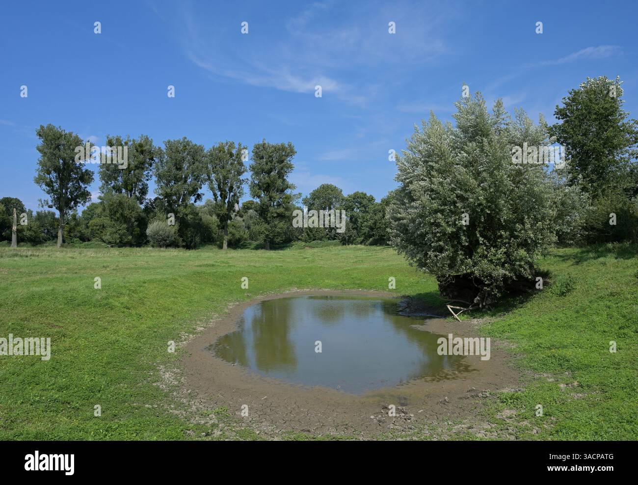 himmelgeister strand nsg himmelgeister rheinbogen