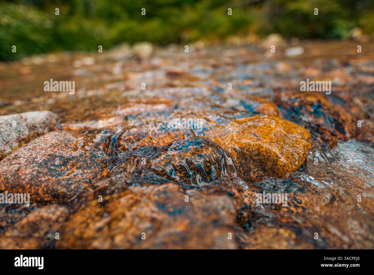Künstlerische Nahaufnahme des Baches mit sanft fließendem Wasser, verschwommenem Hintergrund, der die ruhigen Texturen von Felsen und Kräuseln unterstreicht und die Schönheit der Natur einfängt Stockfoto