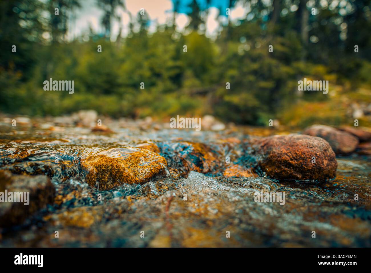 Künstlerische Nahaufnahme des Baches mit sanft fließendem Wasser, verschwommenem Hintergrund, der die ruhigen Texturen von Felsen und Kräuseln unterstreicht und die Schönheit der Natur einfängt Stockfoto
