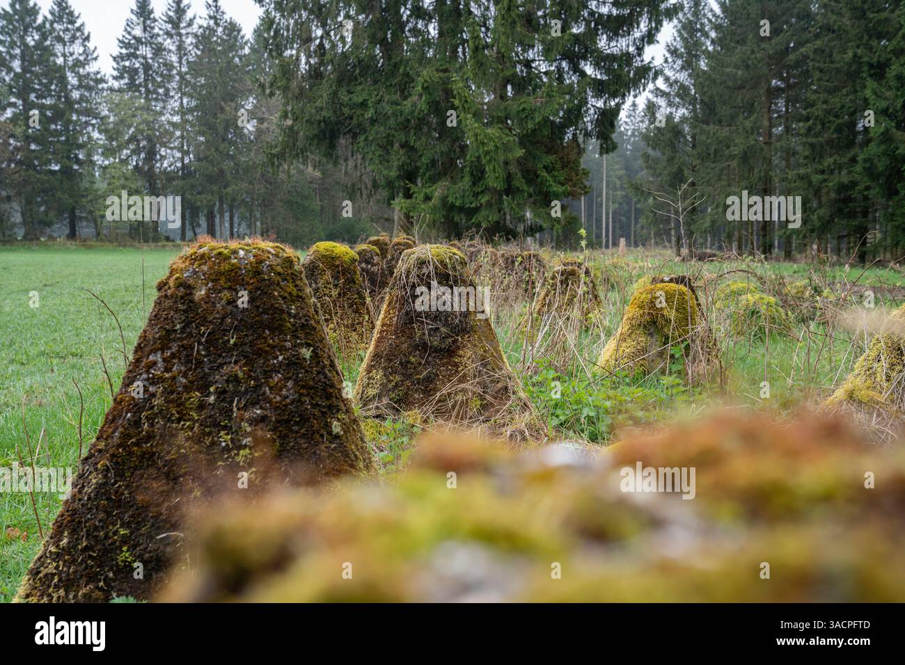 Drachenzähne, Relikte des Zweiten Weltkriegs auf Westdeutschland, Westwall bei Hellenthal, Eifel, Nordrhein-Westfalen Stockfoto Drachenzähne, Relikte des Zweiten Weltkriegs auf Westdeutschland, Westwall bei Hellenthal, Eifel, Nordrhein-Westfalen Stockfoto