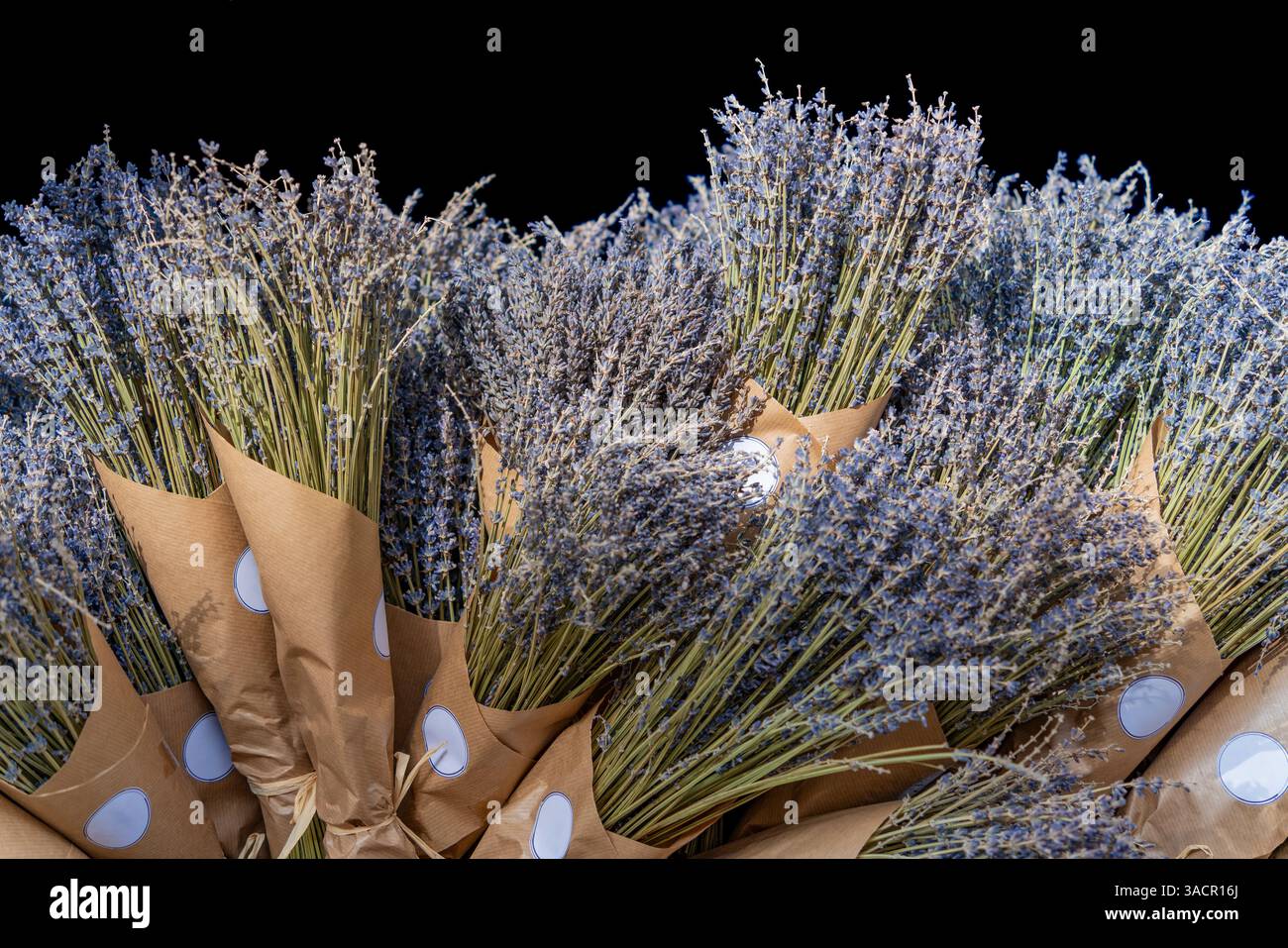 Viele Lavendelsträuße vor dem schwarzen Rücken Stockfoto
