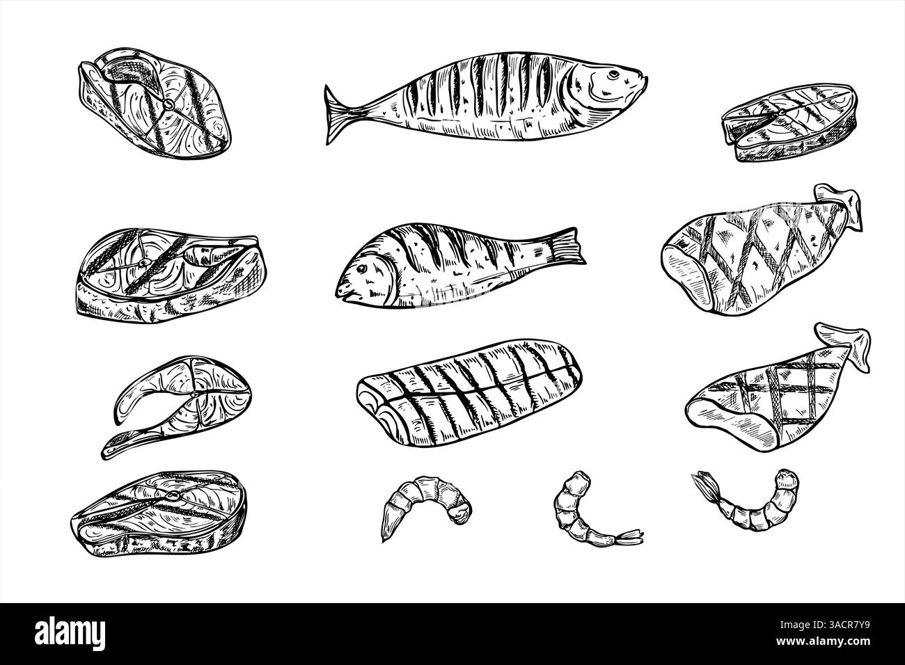Gegrillte Meeresfrüchte Set Vektor Illustration gemalt von schwarzen Tinten. Fischsteak, Filet, ganzer Fisch, angekleidete Tintenfischröhrchen und Garnelen Clip Art Grafik Skizze Stock Vektor