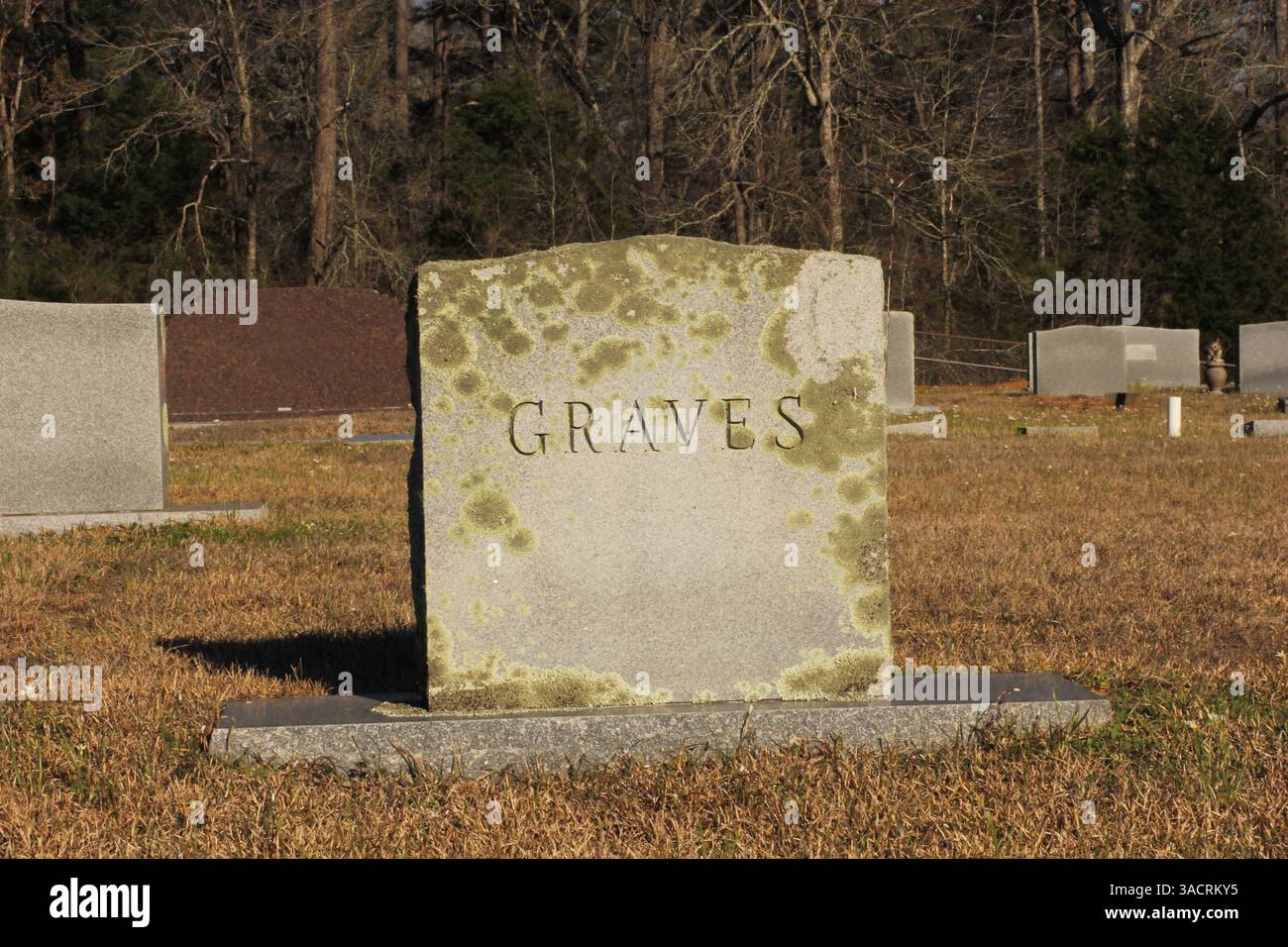 Grabmarker aus leerem Stein in Rural East TX Stockfoto