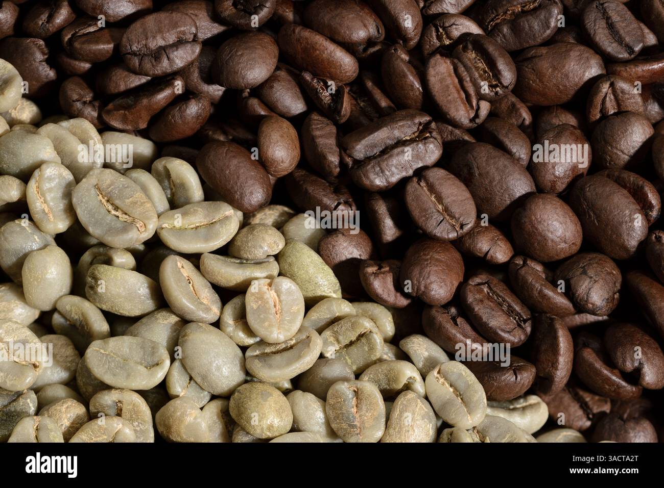Grüne Kaffeebohnen, roh und geröstet, Kaffeebohnen braun Stockfoto