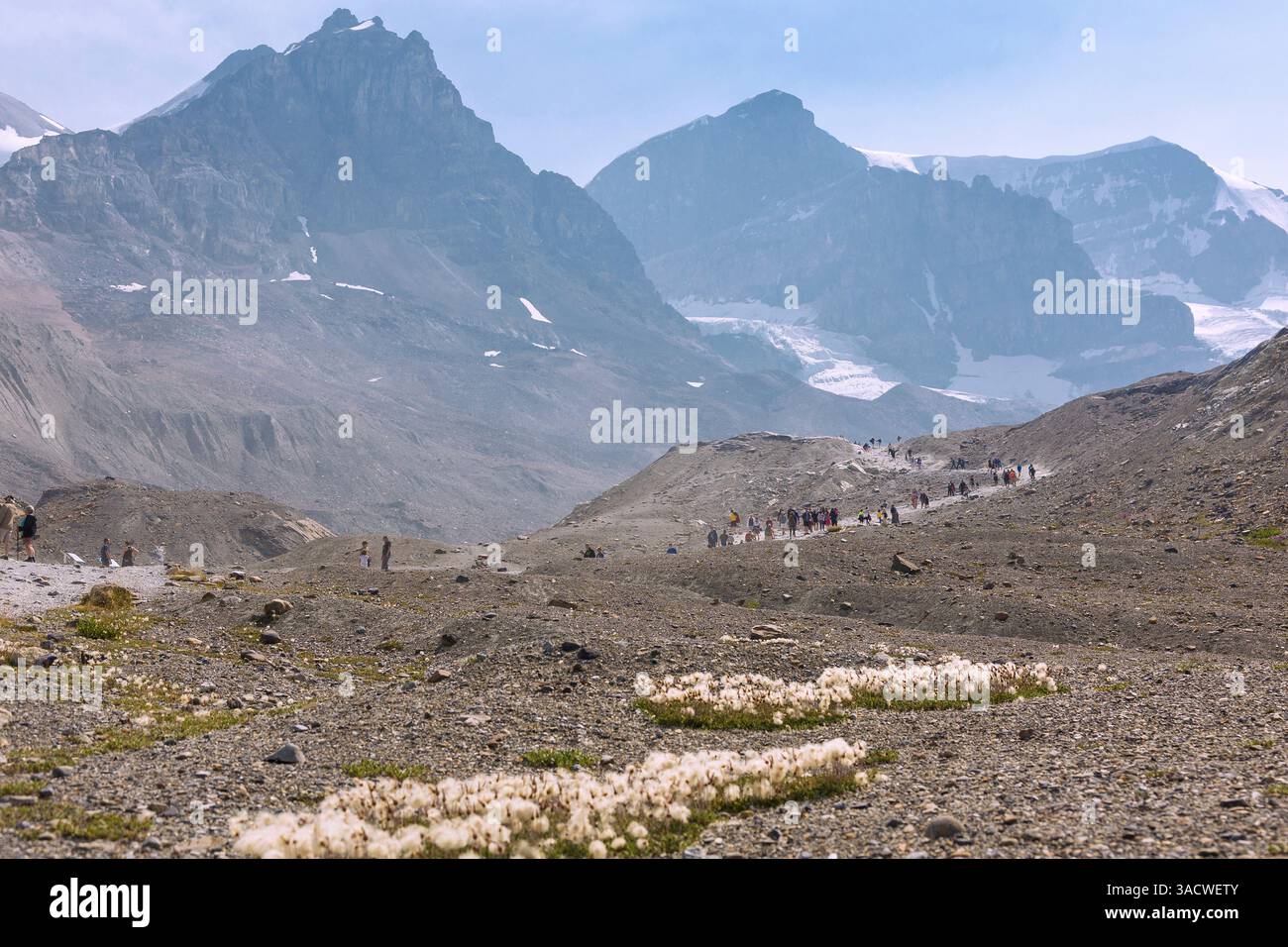 Jasper National Park, Columbia Icefield, Athabasca Glacier, Glacier Trail, Alberta, Kanada Stockfoto