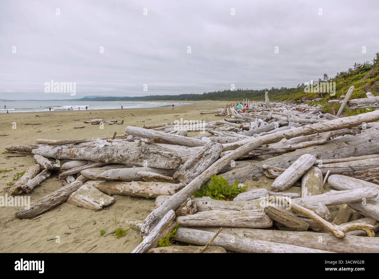 Pacific Rim National Park, Long Beach, British Columbia, Kanada Stockfoto