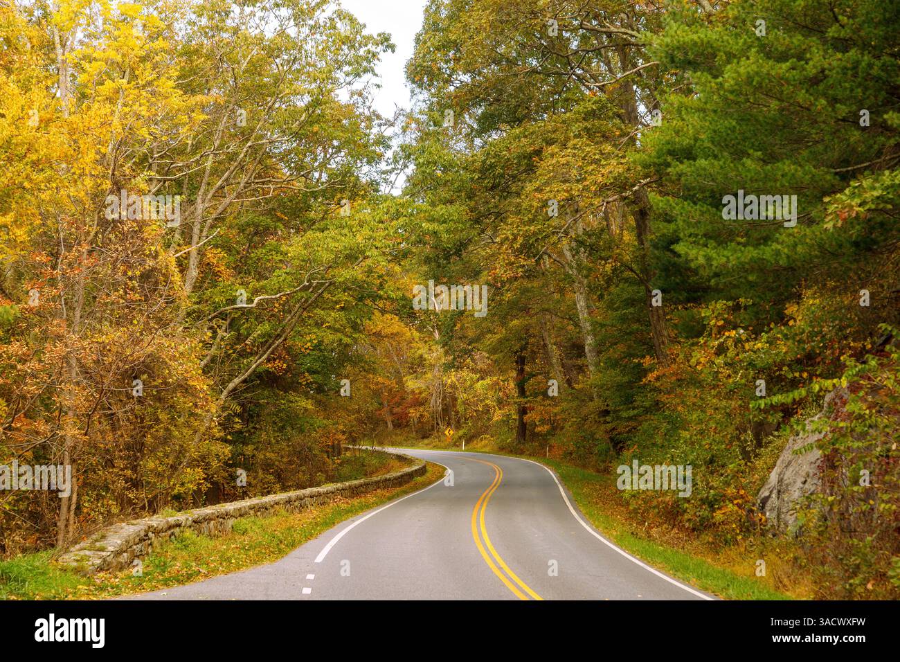 Skyline Drive im Shenandoah National Park, Virginia, USA Stockfoto