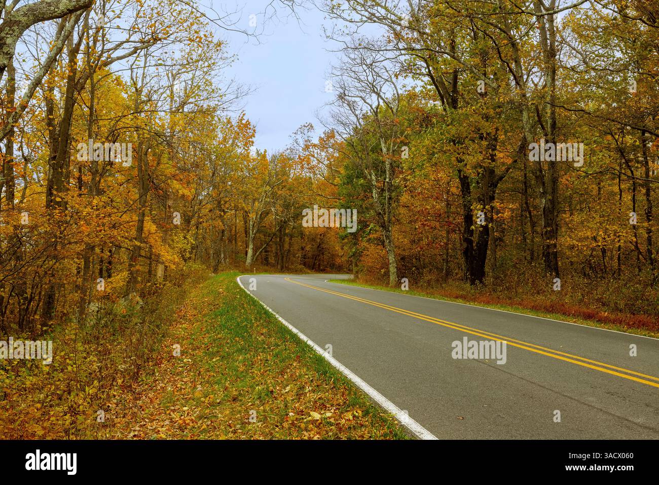 Skyline Drive im Shenandoah National Park, Virginia, USA Stockfoto