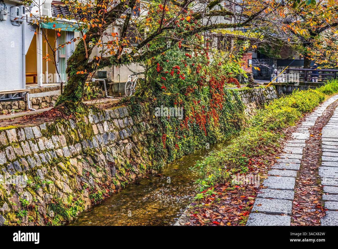 Buntes Laub, Philosopher's Walk, Kyoto, Japan. Gehen Sie vorbei an berühmten Tempeln. Gegründet 1890, weil japanische Philosophen hier spazierten. Stockfoto