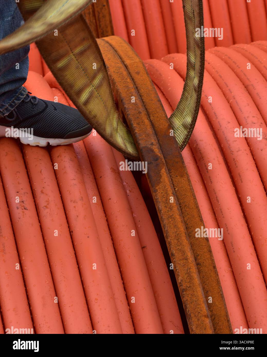 Fester Schuss des Kranhakens und der am Haken befestigten Entladegurte. Kran entlädt Fracht vom Schiff. Stockfoto