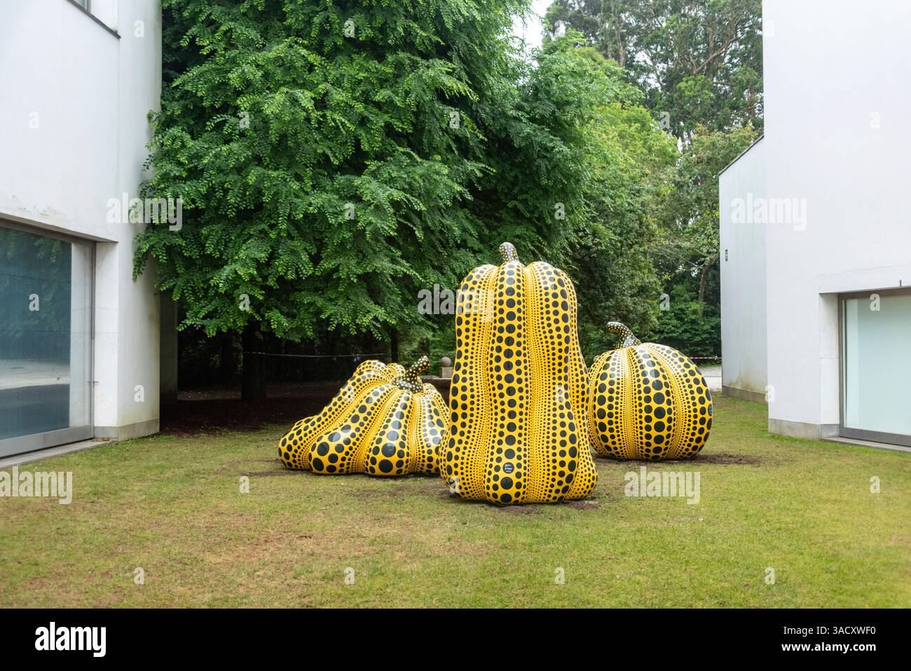 Porto, Portugal, zeitgenössische Kunstskulpturen Polka Dots in Form von Kürbissen im Park der Stiftung Serralves, geschaffen von Yayoi Kusama, Porto Stockfoto