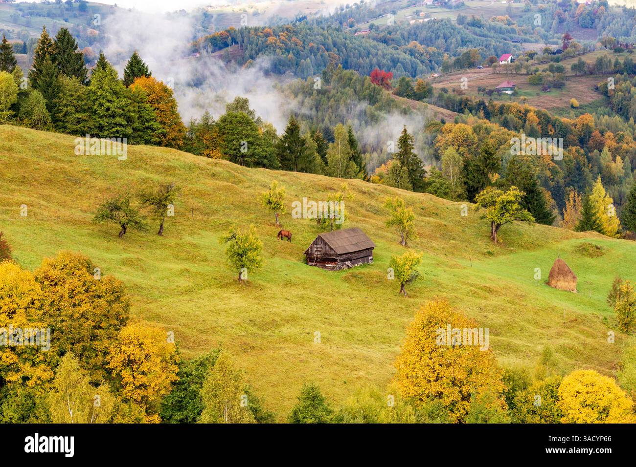 Rumänien, Siebenbürgen. Farbenfrohe, weiße Berglandschaft. Stockfoto
