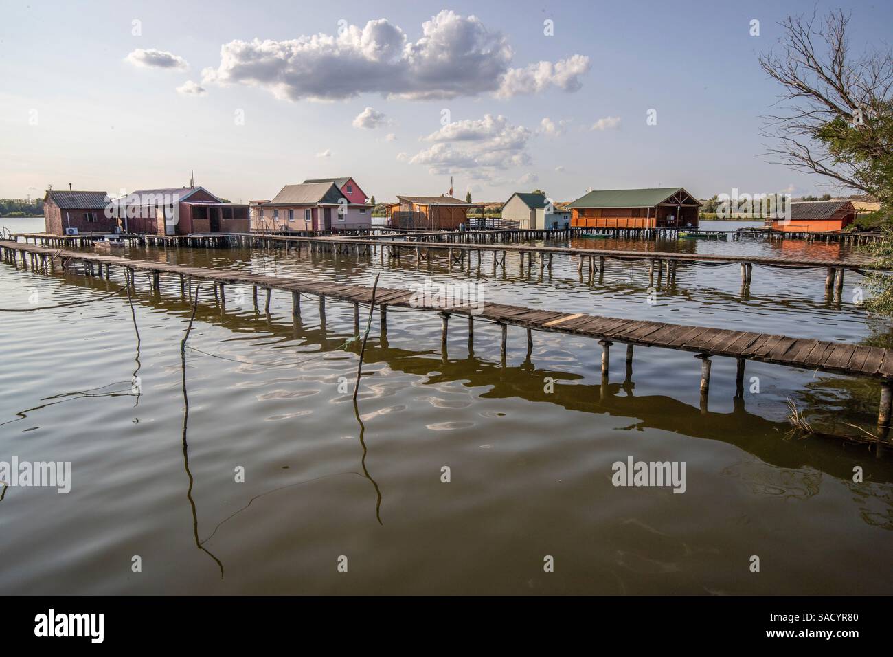 Holzhäuser im Wasser. Ferienanlage am See bei Sonnenuntergang. Lange Holzstege führen zu den einzelnen Häusern. Landschaftsaufnahme des schwimmenden Dorfes Bokodi am Balaton, Ungarn Stockfoto