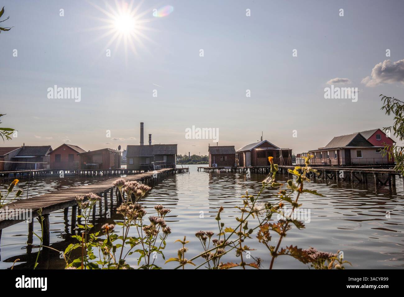 Holzhäuser im Wasser. Ferienanlage am See bei Sonnenuntergang. Lange Holzstege führen zu den einzelnen Häusern. Landschaftsaufnahme des schwimmenden Dorfes Bokodi am Balaton, Ungarn Stockfoto