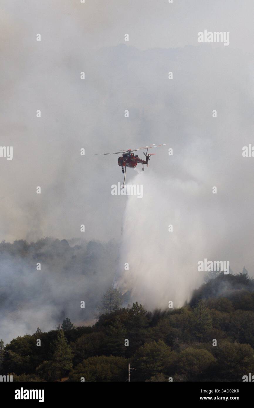 Okt. 2009 - Wrightwood, Kalifornien, USA - Ein Sikorsky S-64 Skykran lässt einen Wassertropfen, um das Schaffeuer einzudämmen, das in Lytle Creek ausbrach und in Richtung Wrightwood brennt, was zur Evakuierung der gesamten Stadt führt (Credit Image: Jody Gomez/ZUMAPRESS.com) Stockfoto