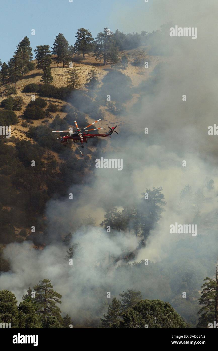 Okt. 2009 - Wrightwood, Kalifornien, USA - Ein Sikorsky S-64 Skykran lässt einen Wassertropfen, um das Schaffeuer einzudämmen, das in Lytle Creek ausbrach und in Richtung Wrightwood brennt, was zur Evakuierung der gesamten Stadt führt (Credit Image: Jody Gomez/ZUMAPRESS.com) Stockfoto