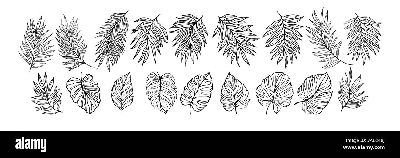 Sammlung handgezeichneter tropischer Blätter im minimalistischen Vektorstil für Grafikprojekte. Vektorabbildung Stock Vektor