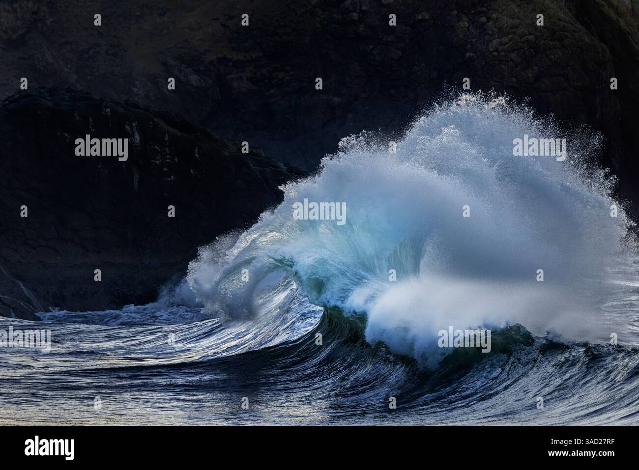 Im Cape Enttäuschung State Park im US-Bundesstaat Washington, USA Stockfoto