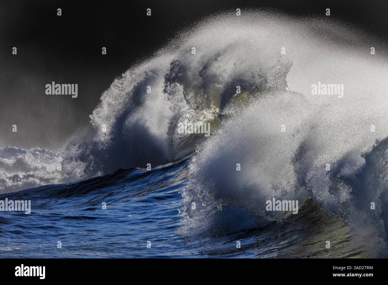 Im Cape Enttäuschung State Park im US-Bundesstaat Washington, USA Stockfoto