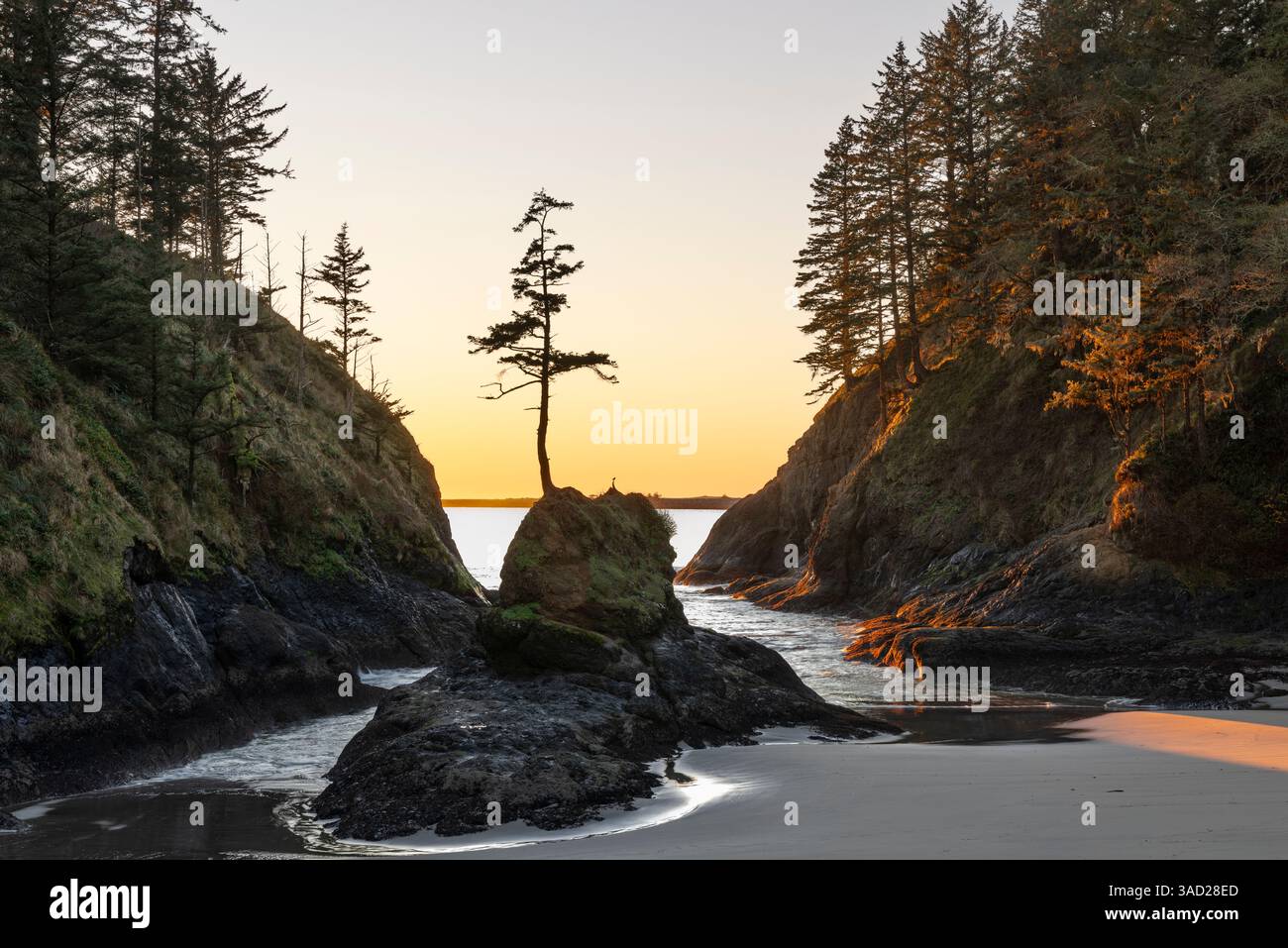 Deadman's Cove im Cape Enttäuschung State Park im US-Bundesstaat Washington Stockfoto
