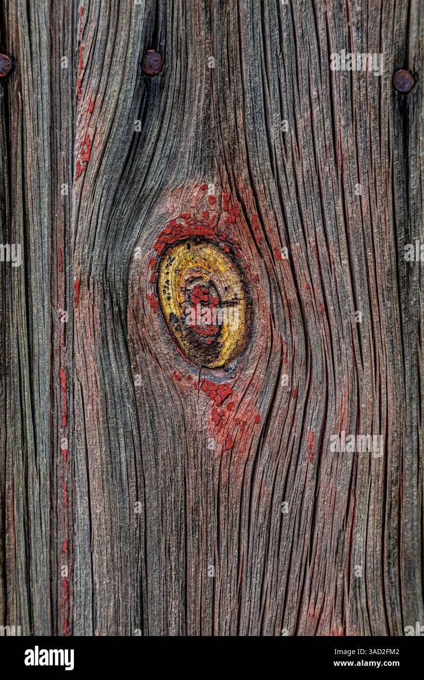 USA, Palouse, Bundesstaat Washington. Holzmuster. Stockfoto