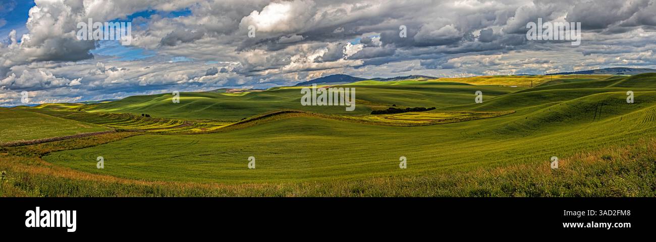 USA, Colfax, Bundesstaat Washington. Enos Road, landschaftlich reizvolle Landwirtschaft. Stockfoto