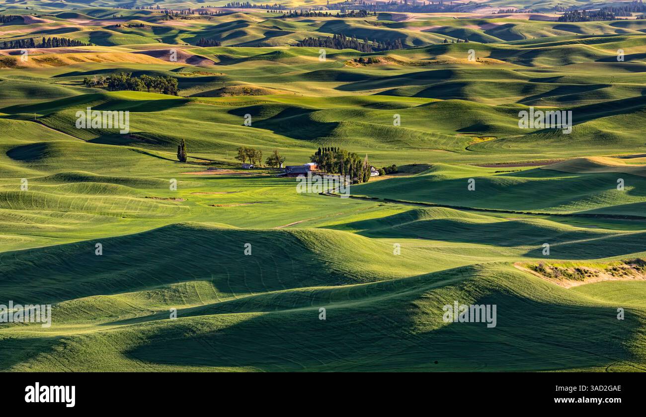 USA, Colfax, Bundesstaat Washington. Steptoe Butte State Park. Stockfoto