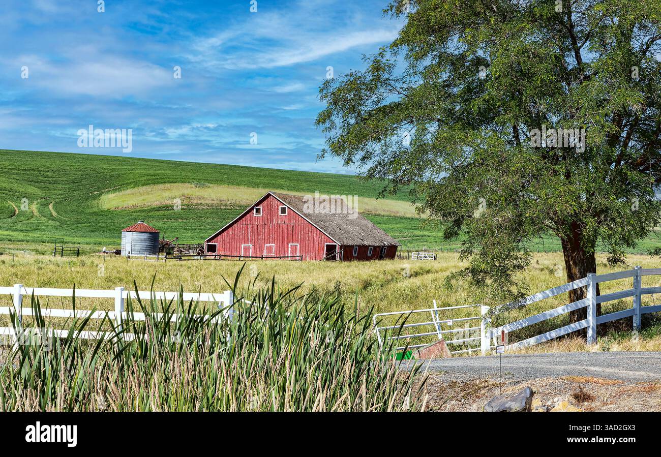 USA, Endicott, Bundesstaat Washington. Lee Road, Bauernszene. (Nur Für Redaktionelle Zwecke) Stockfoto