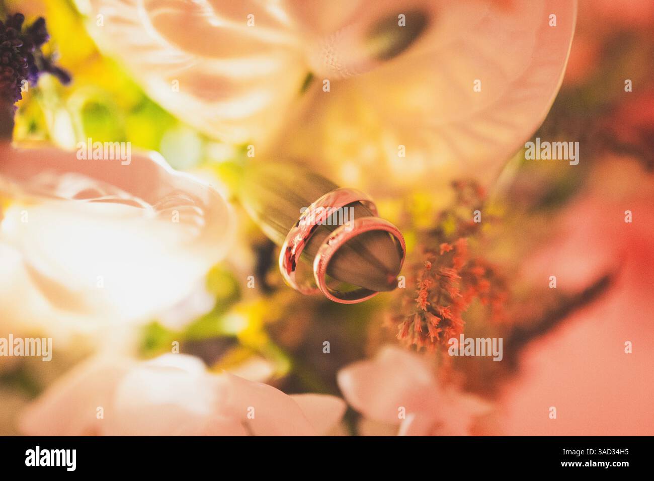 Ringe im Brautstrauß mit indirekter Beleuchtung, Nahaufnahme Stockfoto