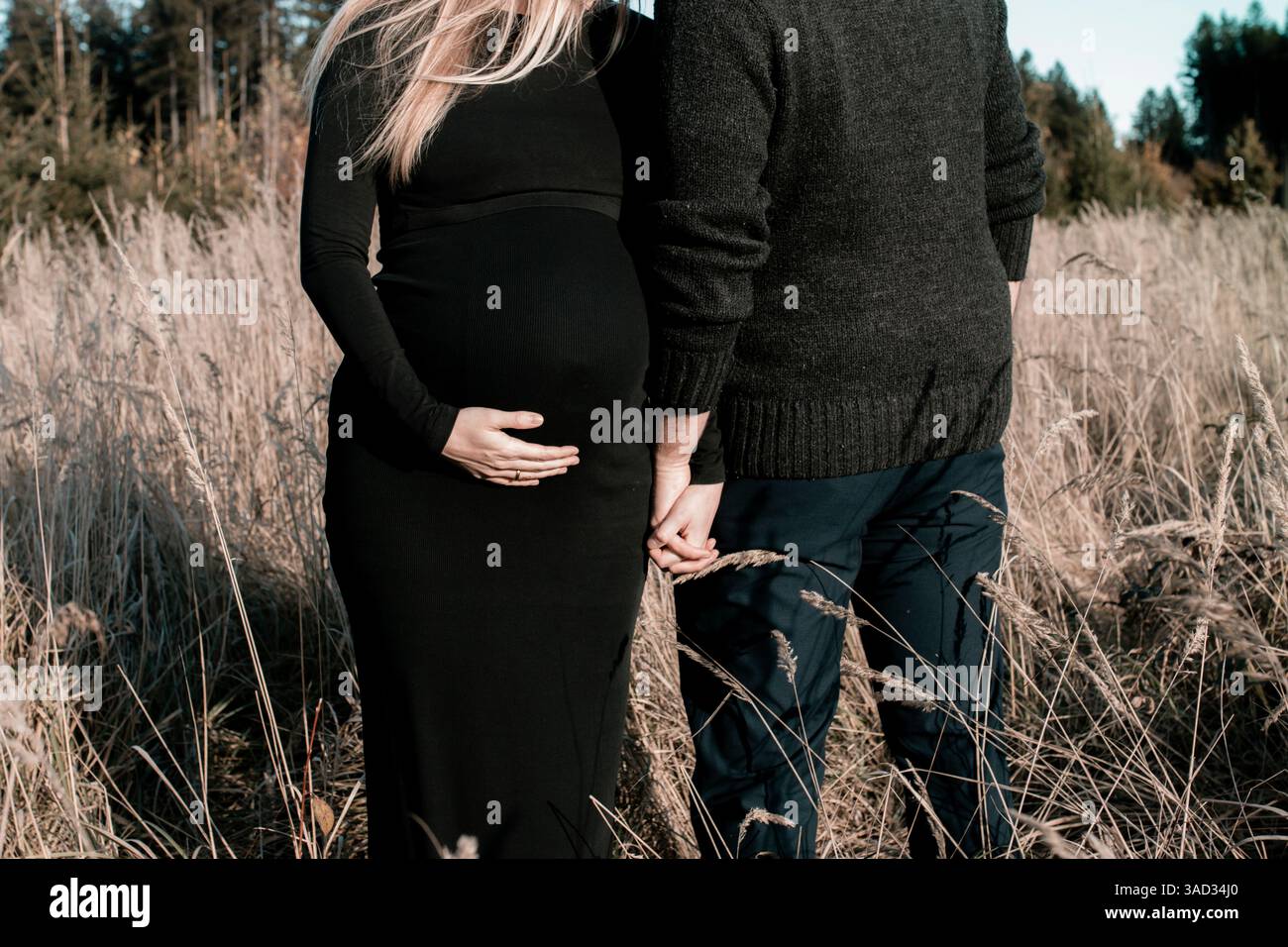 Paare beim Babybauchschießen, Hand in Hand, Frau, die Hand an ihren Bauch hält, schützende Geste, Vater und Mutter stehen auf einem Feld Stockfoto
