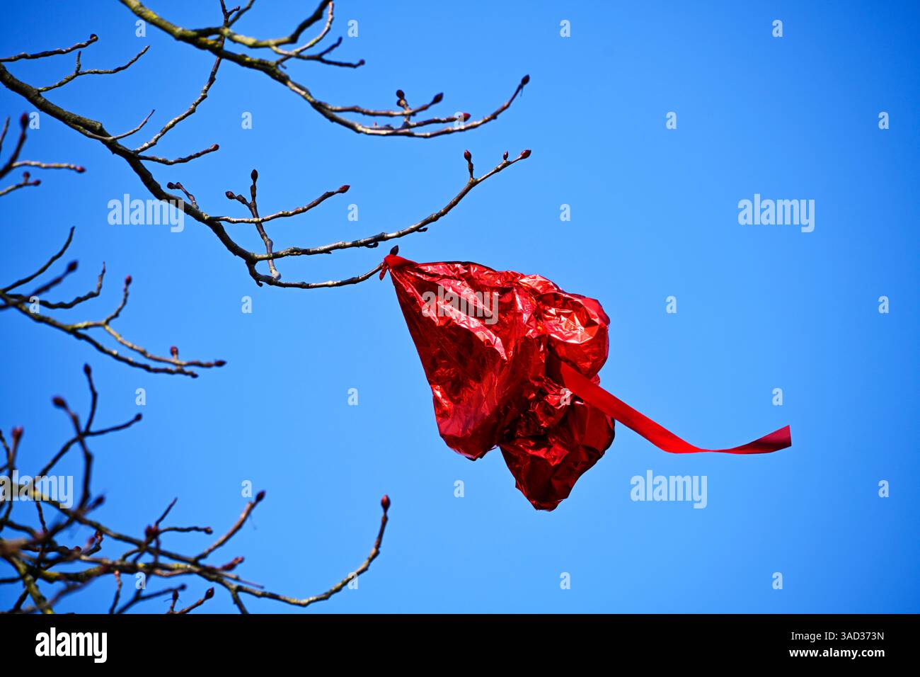 Ein herzförmiger Hochzeitsballon wurde in einem Baum gefangen Stockfoto