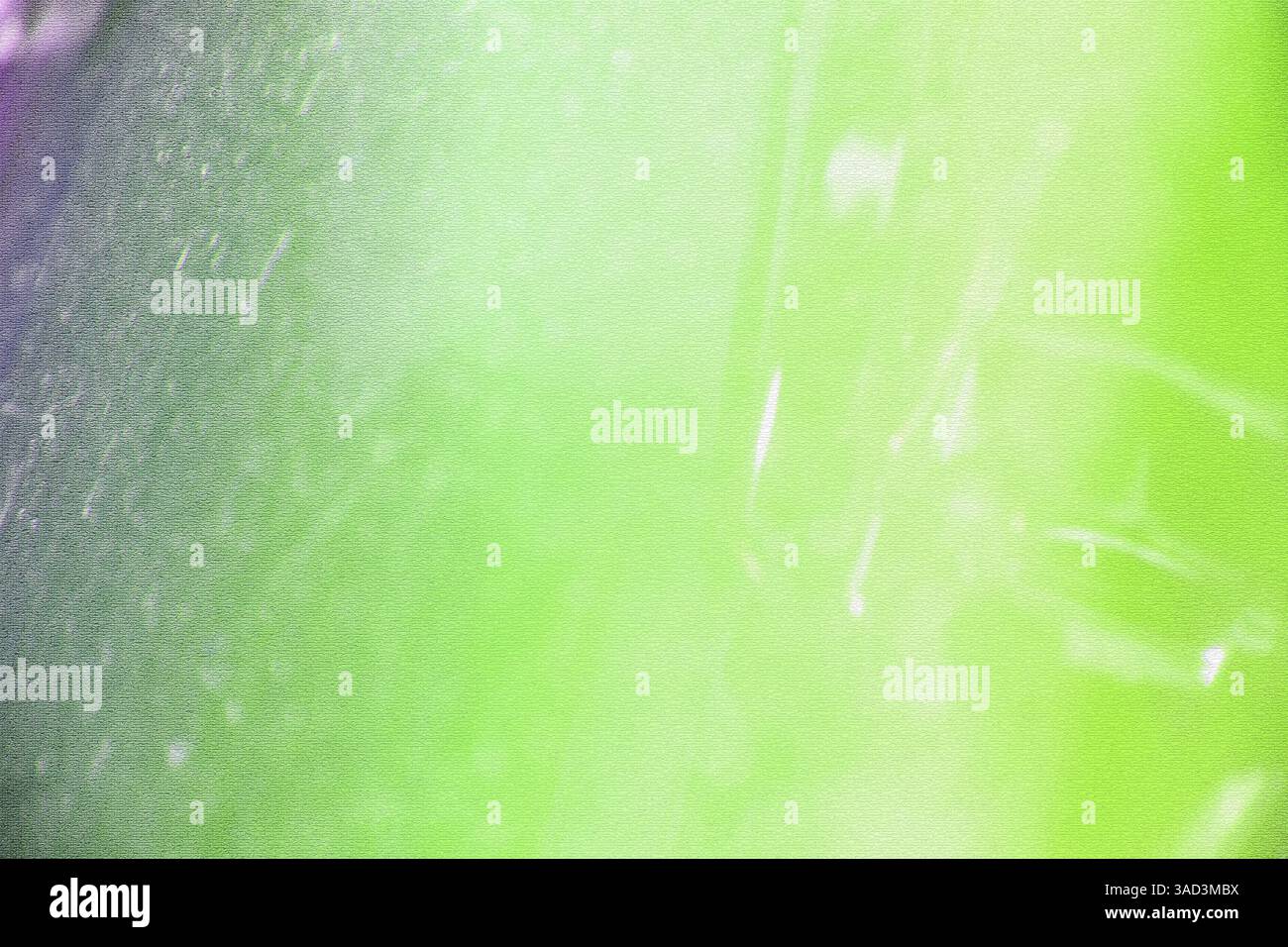 Abstrakter Hintergrund mit einer Mischung aus grünen und violetten Tönen, die eine weiche und traumhafte Atmosphäre mit Licht und Schatten schaffen. Weißrussland Stockfoto