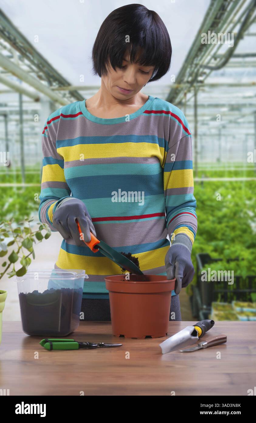 Asiatische weibliche Pflanzblume Stockfoto