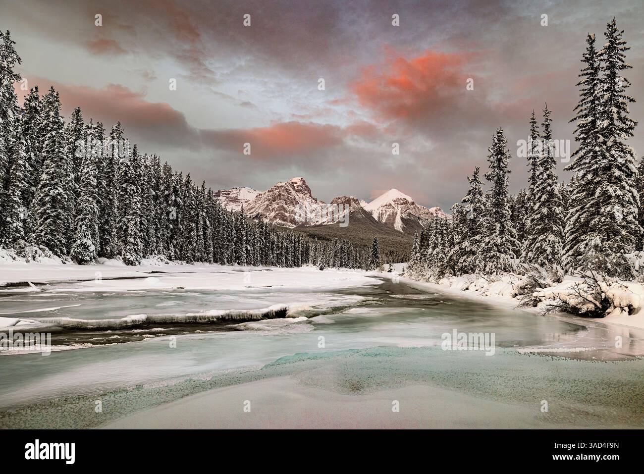 Bow River bei Morant's Curve, Kanada Stockfoto